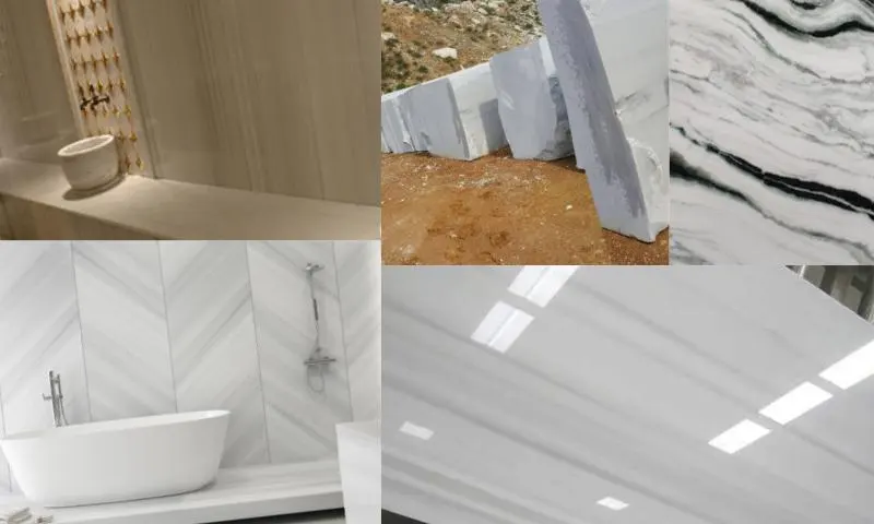 Marmara Panda Özellikleri Nedir?