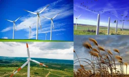 Ilık Rüzgarların Doğadaki Önemi