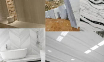 Marmara Panda Özellikleri Nedir?