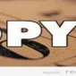DPY Bursu - Bursluluk Parası