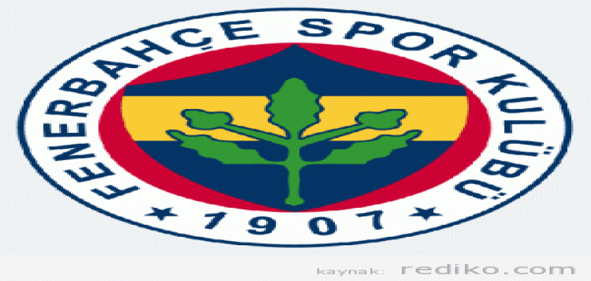 Vaslui 1-4 Fenerbahçe Maç Özeti